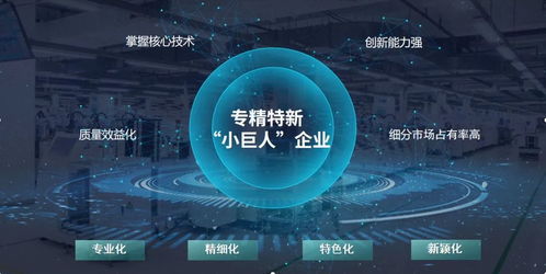 玄羽科技榮膺國(guó)家級(jí)“專(zhuān)精特新”小巨人企業(yè)，引領(lǐng)工業(yè)互聯(lián)網(wǎng)數(shù)據(jù)服務(wù)新篇章